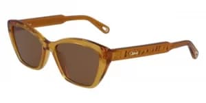 Chloe Sunglasses CE 760S 204