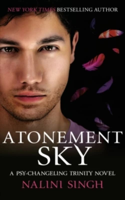 Atonement Sky : Book 9 Hardback