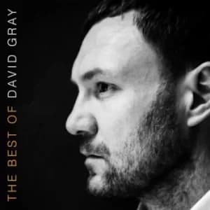 The Best of David Gray by David Gray CD Album