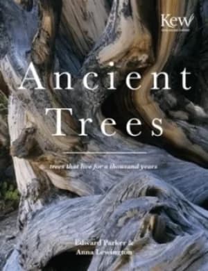 Ancient trees by Anna Lewington