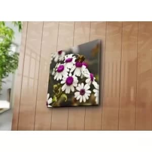 4545NAT-50 Multicolor Decorative Canvas Painting