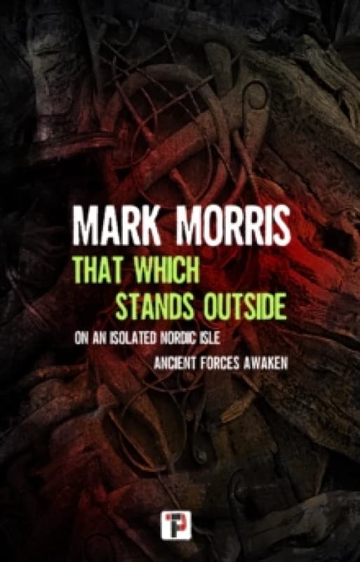 That Which Stands Outside Paperback / softback