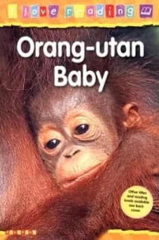 Orang-Utan Baby by Monica Hughes and Mitch Cronick Paperback