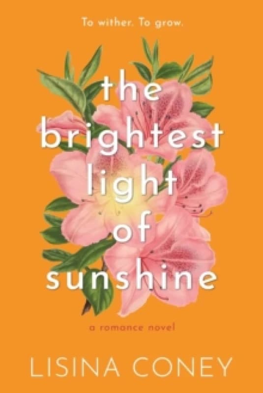 Brightest Light of Sunshine Paperback / softback