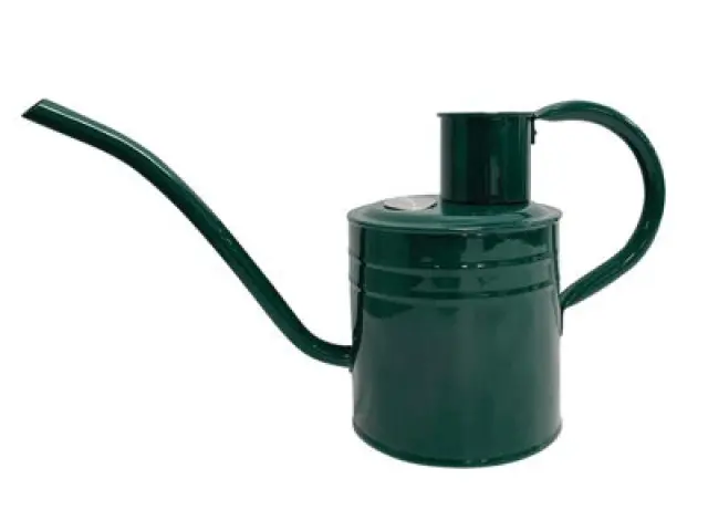 Kent & Stowe 70300637 Indoor Watering Can 1 litre Forest Green 70300637