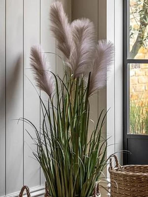 Crossland Grove Potted Grass with Pampas Seed Heads (5pk) 1270mm, White 5056693592730