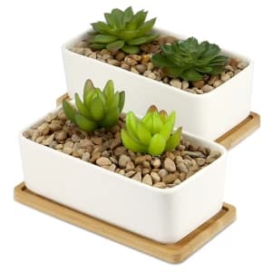 Ceramic Planter & Bamboo Base M&W x2 Rectangular