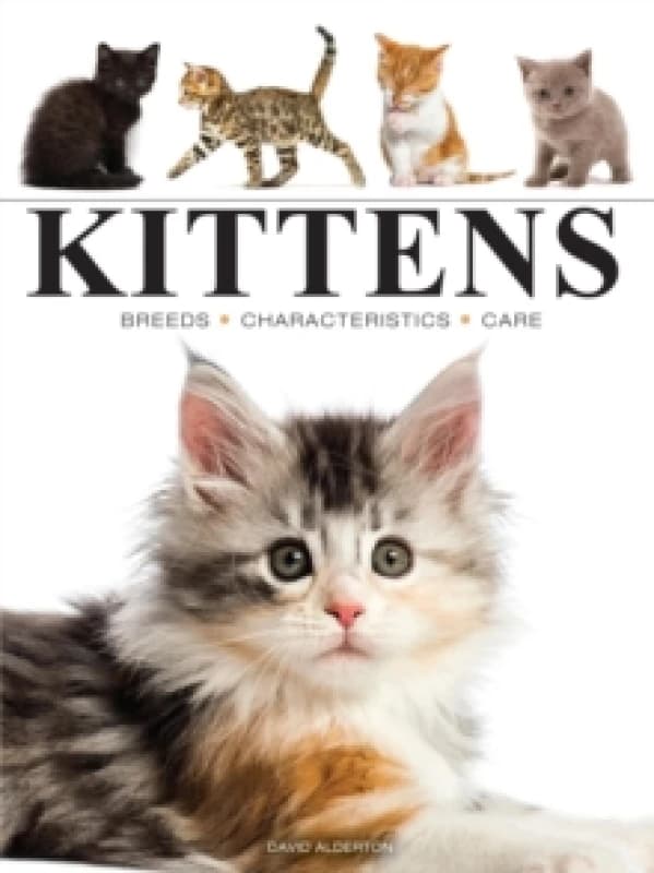 Kittens Paperback / softback