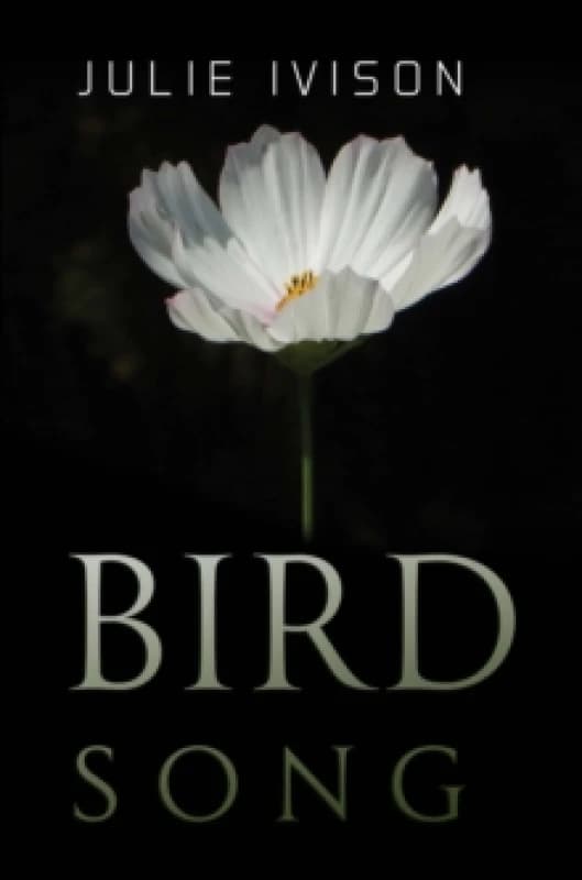 Bird Song Paperback / softback