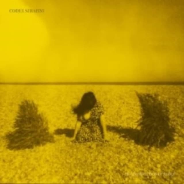 The Imprecation of Anime Vinyl