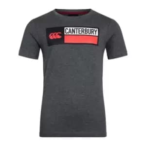 Canterbury Cotton Logo T-Shirt Juniors - Grey