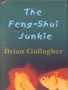 The Feng-Shui Junkie by Brian Gallagher Hardback