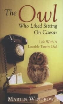 The Owl Who Liked Sitting on Caesar by Martin Windrow Hardback
