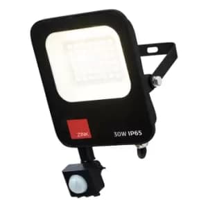 Zink CLARA LED Floodlight 30W Cool White Black