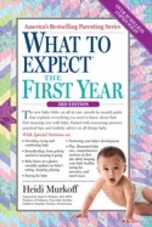 what to expect the first year what to expect