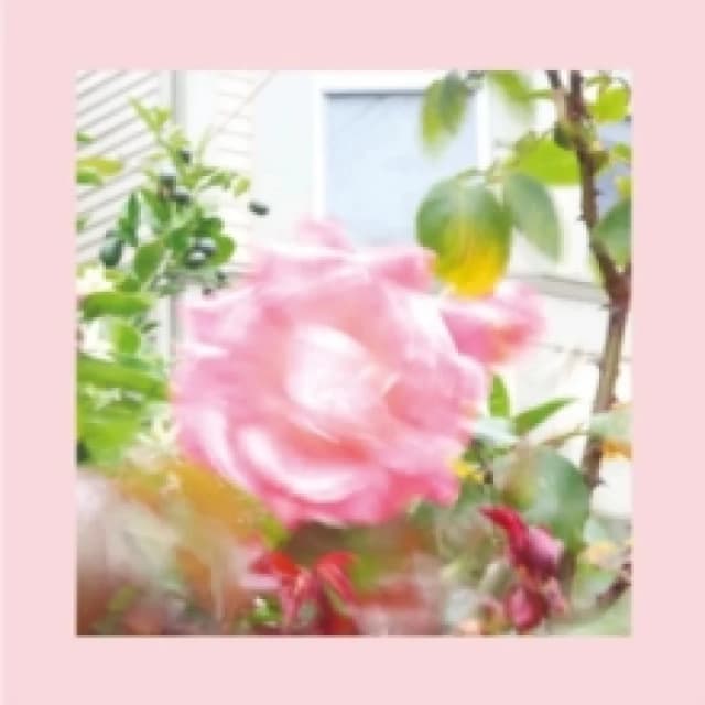 Summer at Land's End CD / Album