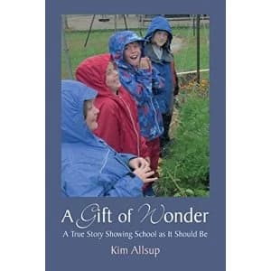 A Gift of Wonder A True Story Showing School As It Should Be Paperback / softback 2018