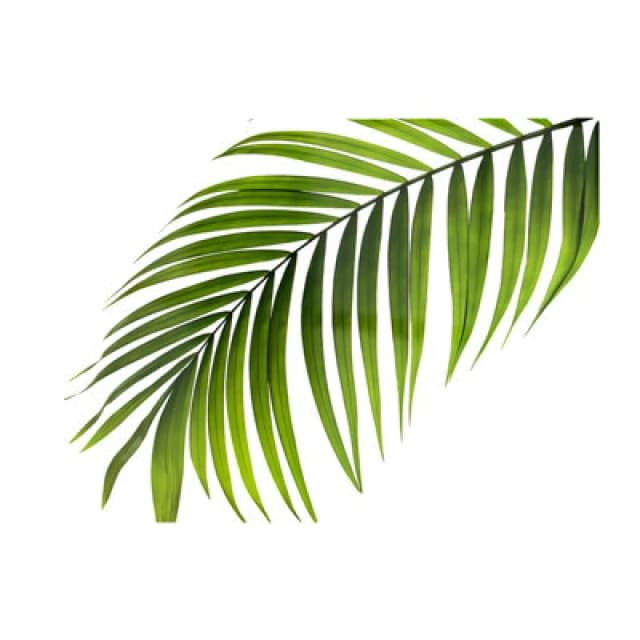 Warren Reed Designer Single Palm Leaf Glass Chopping Board