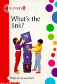 Whats the Link by Lynne Pointer and Sally Abbey Paperback