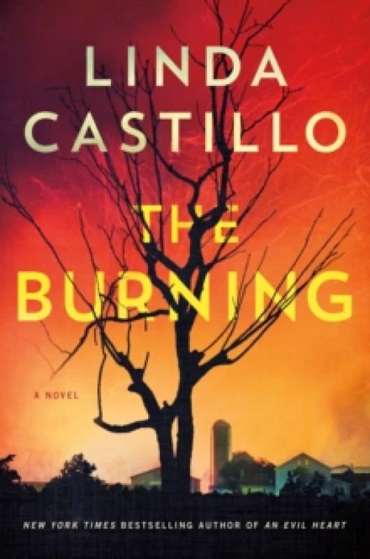 The Burning. Paperback. By Linda Castillo Books