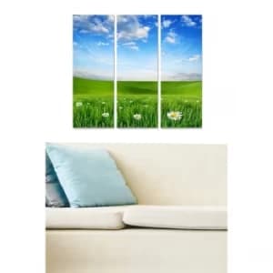 MDF44845879 Multicolor Decorative MDF Painting (3 Pieces)