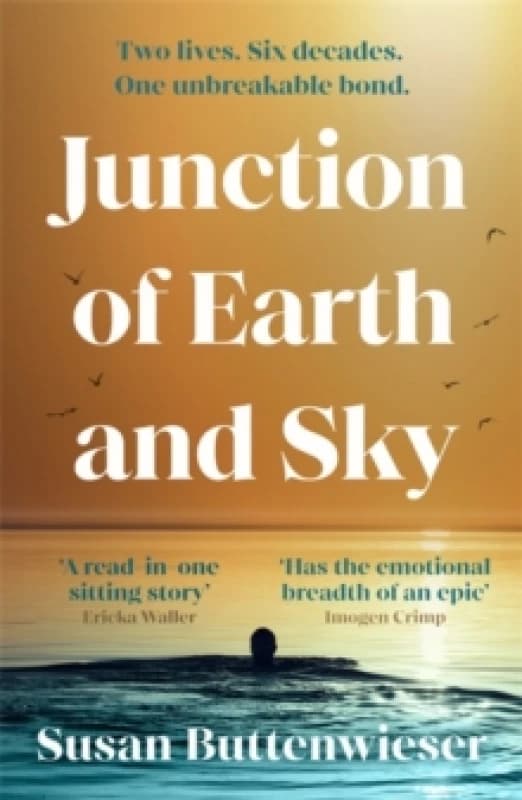Junction of Earth and Sky : A heart-breaking, lyrical novel about the enduring power of love Paperback / softback