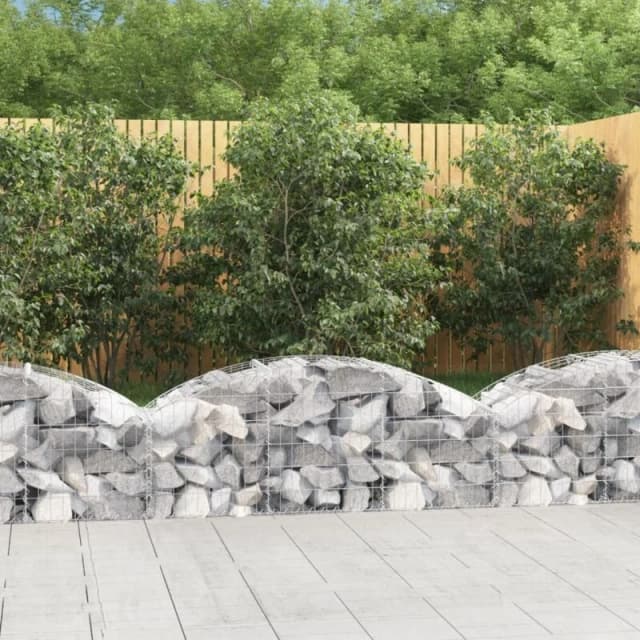 VIDAXL Vidaxl - Arched Gabion Basket 150x50x40/60cm Galvanised Iron 8720845651152