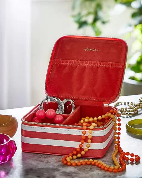 Joules Travel Jewellery Case
