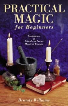 Practical Magic for Beginners by Brandy Williams Paperback