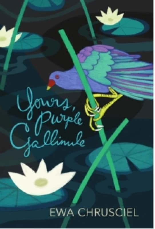 Yours, Purple Gallinule Paperback / softback