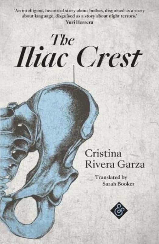 The Iliac Crest Paperback / softback
