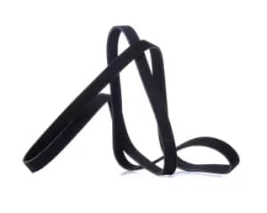 RIDEX V-ribbed belt OPEL,CHEVROLET,VAUXHALL 305P0490 25182242,25182242,4802240 25182242,4802240