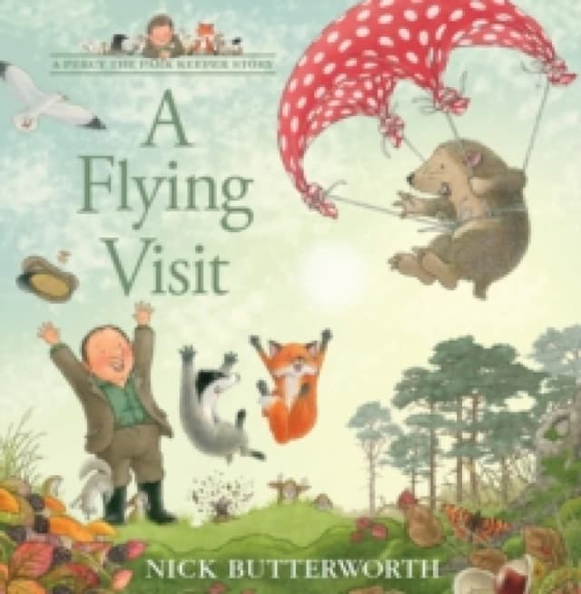 A Flying Visit Paperback / softback