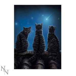 Wish Upon a Star 3D Picture