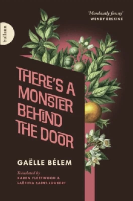 There's a Monster Behind the Door Paperback / softback