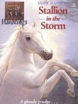 Stallion in the Storm by Lucy Daniels Paperback