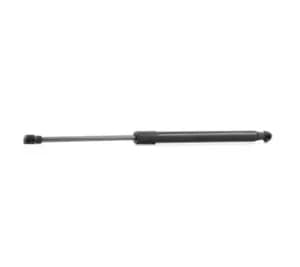 RIDEX Tailgate strut both sides 219G0160 Gas spring, boot- / cargo area,Boot struts BMW,1 Schragheck (E87),1 Schragheck (E81)
