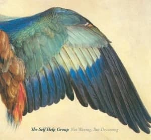 Not Waving But Drowning by The Self Help Group CD Album