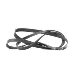 RIDEX V-ribbed belt 305P0355 Serpentine belt,Auxiliary belt MERCEDES-BENZ,NISSAN,E-Klasse Limousine (W211),E-Klasse T-modell (S211)