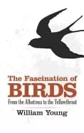 fascination of birds from the albatross to the yellowthroat