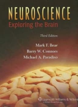 Neuroscience by Mark F. Bear Hardback
