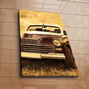 5070C-155 Multicolor Decorative Canvas Painting