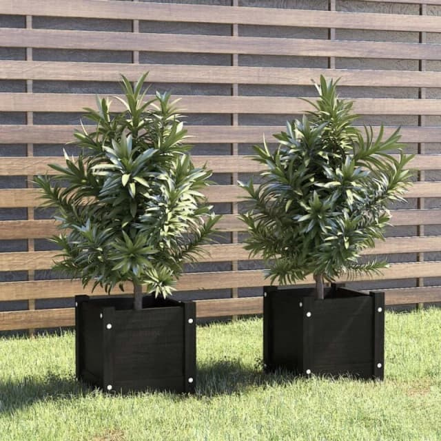 VIDAXL Garden Planters 2 pcs Black 31x31x31cm Solid Pinewood Vidaxl 8720286773178
