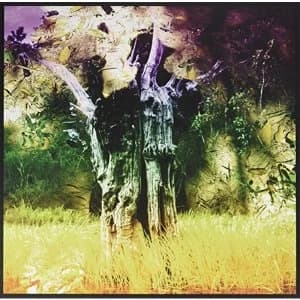 Animal Collective - Meeting of the Waters 12" Vinyl