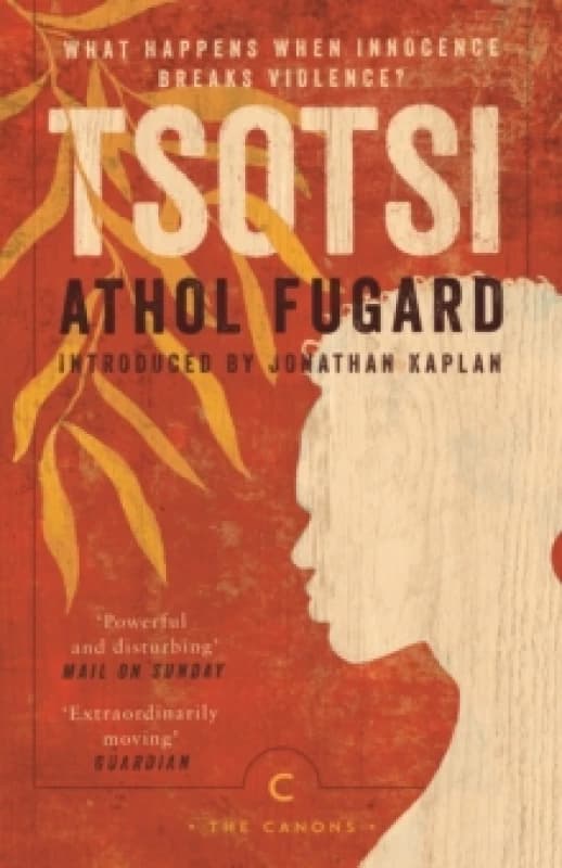 Tsotsi Paperback / softback