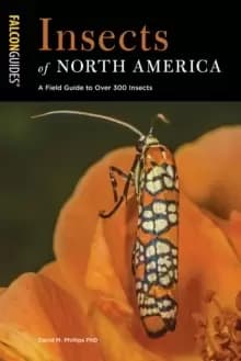 Insects of North America : A Field Guide to Over 300 Insects