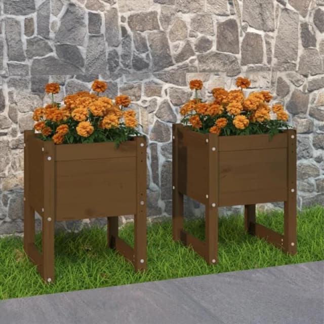 vidaXL Planters 2pc Honey Brown 40x40x52.5 cm, Brown 822114