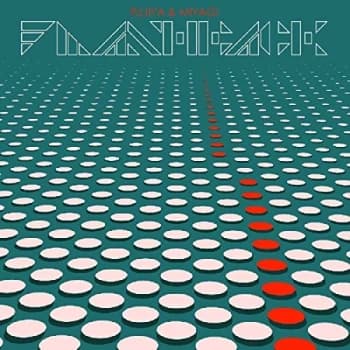 Fujiya & Miyagi - Flashback CD