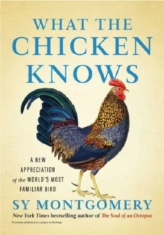 What the Chicken Knows : A New Appreciation of the World's Most Familiar Bird Hardback