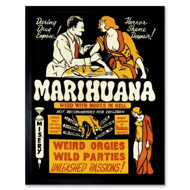Artery8 Political Anti Drug Abuse Prohibition Marijuana Weed 12x16" Framed Art in Black Size: W12" x H16" Black Unisex W12" x H16"